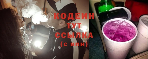 дурь Бородино