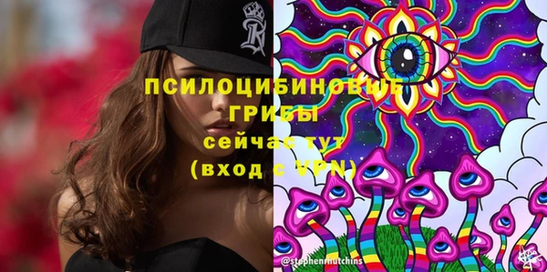 круглые Гусев