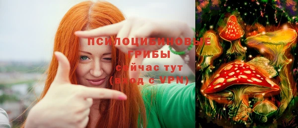 дурь Бородино