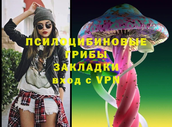 дурь Бородино